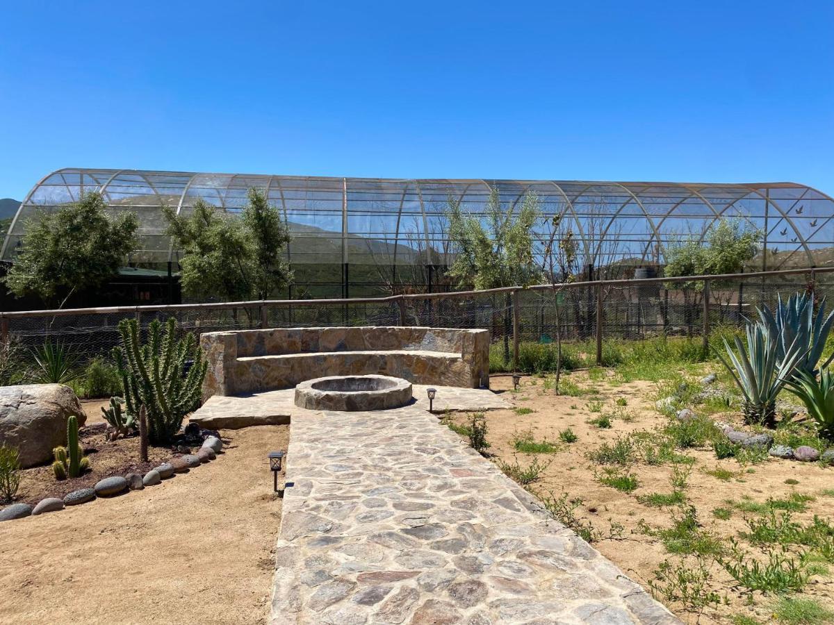 Coquenas Del Valle Valle de Guadalupe Luaran gambar