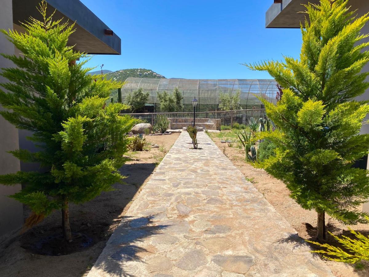 Coquenas Del Valle Valle de Guadalupe Luaran gambar